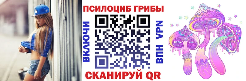 mega ссылки  цена наркотик  Алагир  Галлюциногенные грибы Cubensis 
